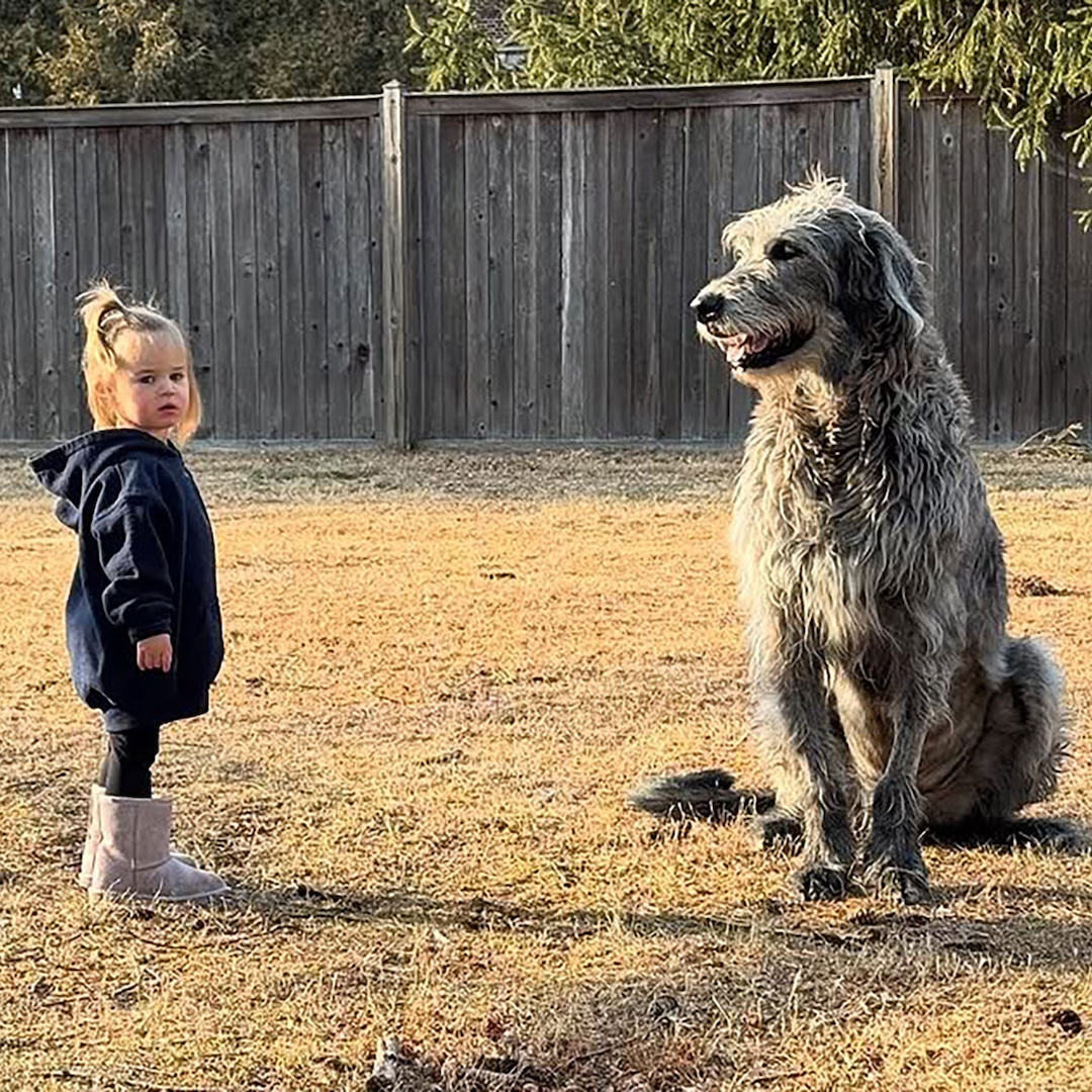 You are currently viewing Pregnant Kylie Kelce and Jason Kelce Mourn Death of Dog Baloo