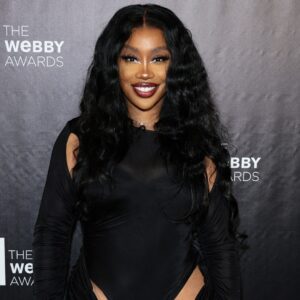 Read more about the article SZA Wins R&B Artist of the Year