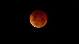 Read more about the article When & Where to See the Blood Moon – Hollywood Life