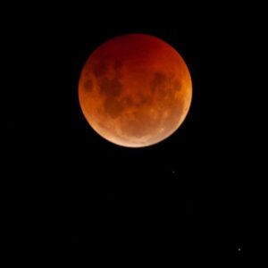 Read more about the article Here’s How to Watch the Rare Total Lunar Eclipse This Week