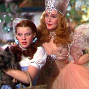 Read more about the article Man Accused of Hiding Wizard of Oz Ruby Slippers Dies Before Hearing