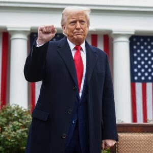Read more about the article Meet Donald Trump's Cabinet, From Sean Duffy to Robert F. Kennedy Jr.