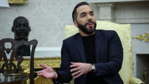 Read more about the article Who Is the El Salvador President? About Nayib Bukele – Hollywood Life